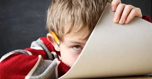 Эксперты: нелеченный СДВГ увеличивает риск депрессии у вашего ребенка