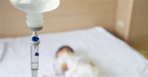 "В Польше ежегодно регистрируется 30-40 000 случаев. Это верхушка айсберга, потому что семейные врачи ротавирус не диагностируют"