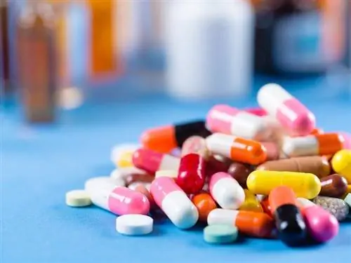 Как лечится болезнь Альцгеймера?