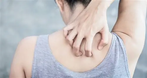 Незаметные симптомы рака