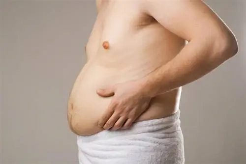 Серозная жидкость