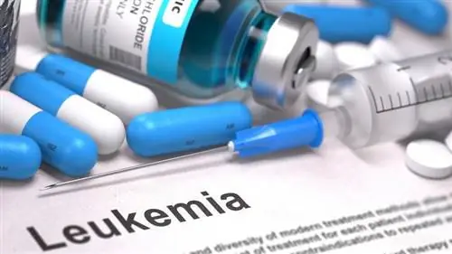 Лейкемия Лейкемия