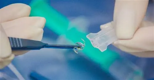 Интраокулярные линзы – современный метод лечения катаракты