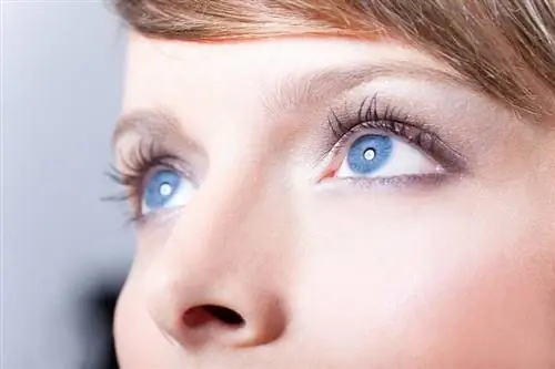 Синдром сухого глаза