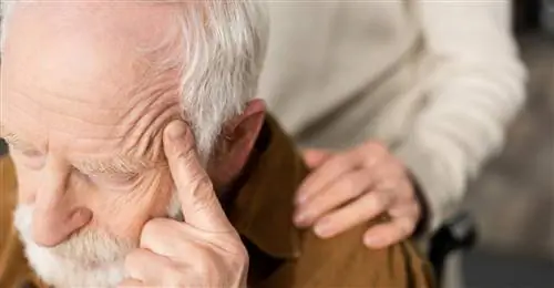 Заботясь об этом органе, мы можем защитить себя от слабоумия