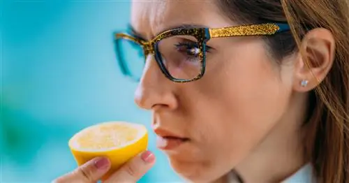 Через сколько времени пациенты с COVID-19 снова начинают чувствовать запах? Ученые подсчитали