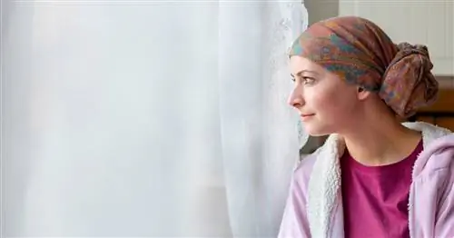 Тератома - самый странный из видов рака. Виды и лечение тератом