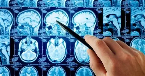 Разрушительный близнец