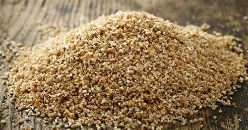 Диета с высоким содержанием клетчатки снижает риск преждевременной смерти