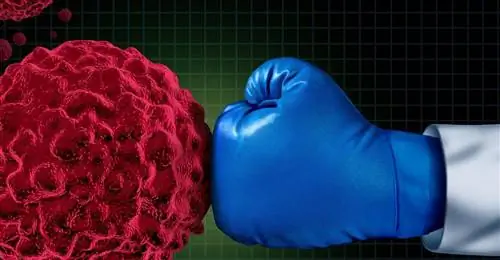 Иммунотерапия