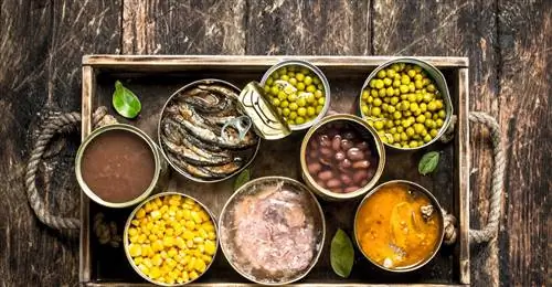 Смертельный ботулинический яд