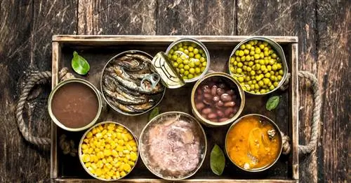 Ботулизм - что это такое? Причины, симптомы и лечение ботулизма