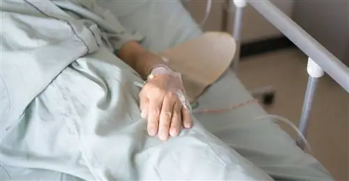 Инновационное пром-медицинское белье создано в Лодзинском технологическом университете