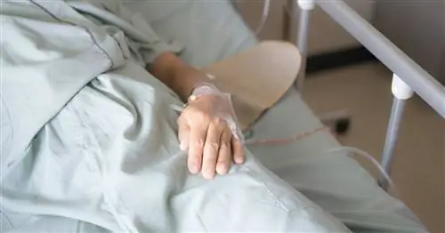 Инновационное выпускное медицинское белье разрабатывается в Лодзинском технологическом университете