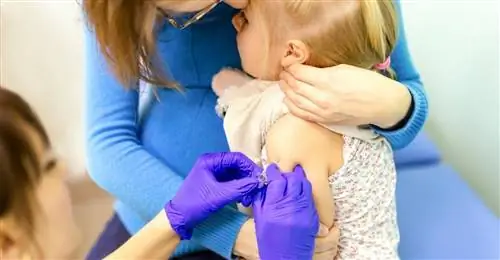 Вакцинация детей Вакцинация детей