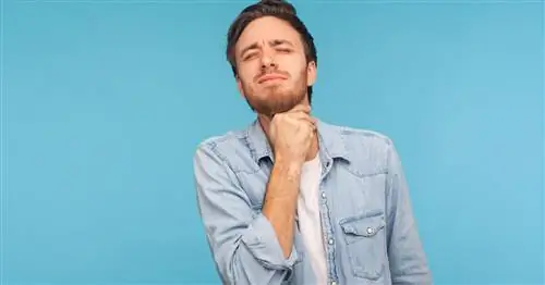 Каковы симптомы стрептококка?