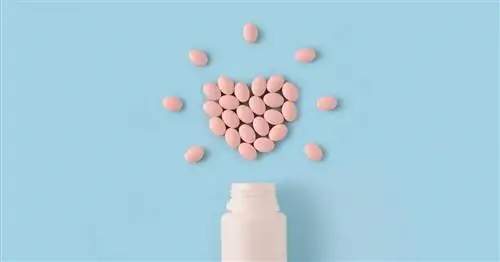 Медикаментозный остеопороз, или побочные эффекты от приема стероидов