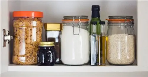 Пищевая моль – откуда берется и как от нее избавиться? Домашние средства от пищевой моли