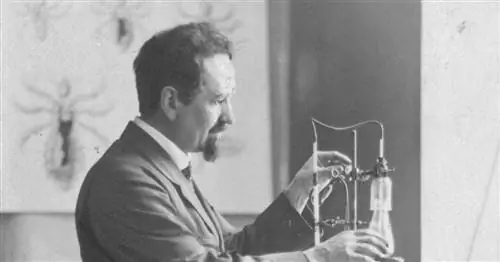 Google Doodle напоминает нам о Рудольфе Вайгле. Правдивая история первооткрывателя вакцины против тифа