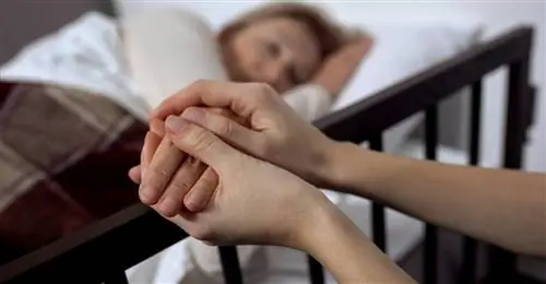 жалюзи 1469279750