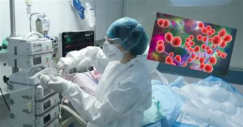 «Супергжиб» атакует больных COVID-19. Исследователи: растущая проблема для мира