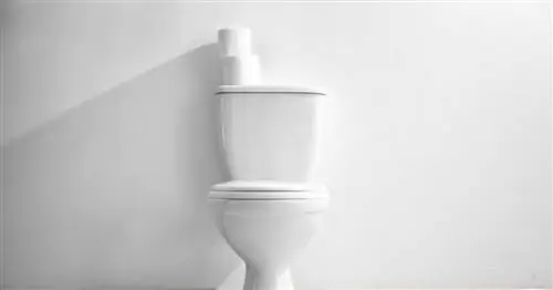 Запоры - виды, симптомы, лечение, домашние средства. Запор при беременности