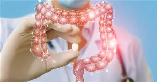 Микроскопический колит - будесонид исчез из списка возмещения