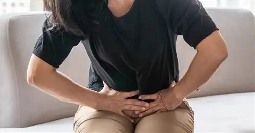 Колоректальный рак – каковы симптомы?[ИНФОГРАФИКА]