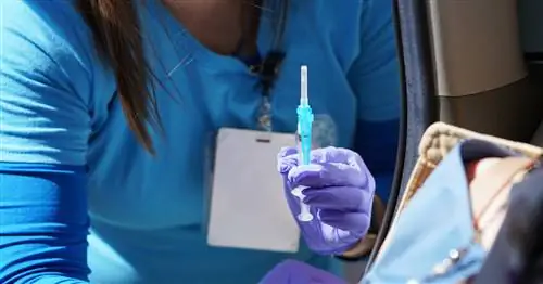 В мае вас будут прививать без регистрации, но только вакциной Johnson&Johnson. Почему?