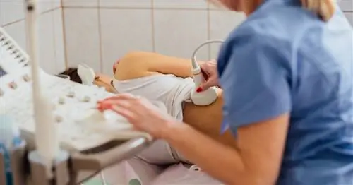 Почечная анемия – как ее лечить?