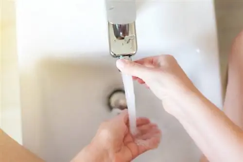 Достаточно умываться 1-2 раза в день проточной водой, чтобы чувствовать себя комфортно и снизить риск заражения