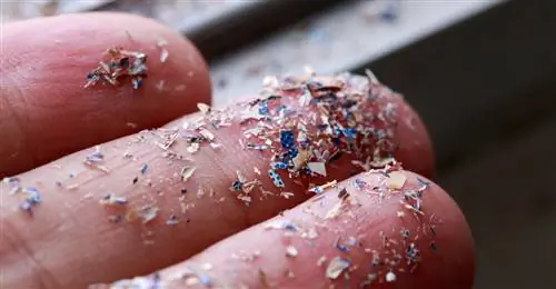 Ежемесячно в наш организм попадает до 21 грамма пластика. Можем ли мы повлиять на это?