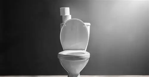 Окажется ли анализ сточных вод спасением от пандемии коронавируса?