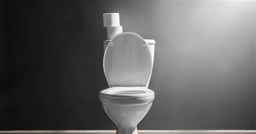 Страны готовятся ко второй волне коронавируса. Они ищут спасения в нечистотах