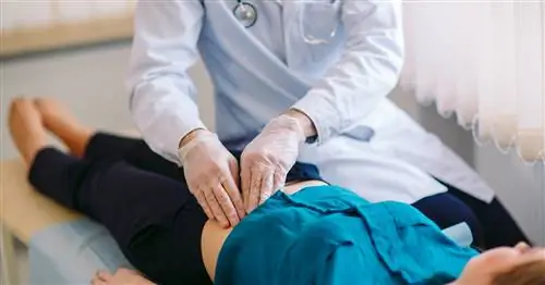 Телеконсультации в онкологии. «Больные люди не могут дождаться, когда пандемия пройдет»