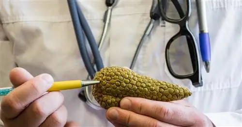 Благодаря Анне Пшибыльской пациенты охотнее проходят обследования