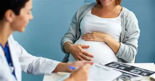 36 неделя беременности - развитие ребенка, болезни, обследования