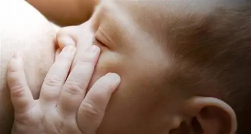 Почему стоит кормить