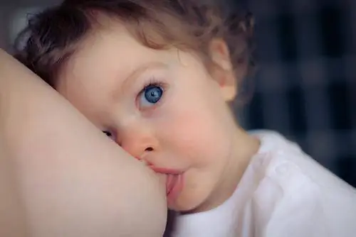 Как долго кормить