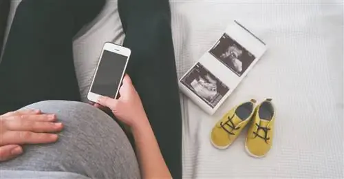 Питание беременных - I триместр