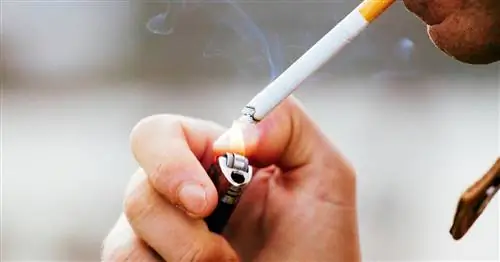 Мужественность и женственность не любят никотин