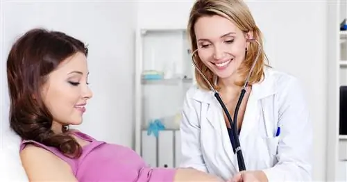 Лютеин - производство, правильные уровни, функции