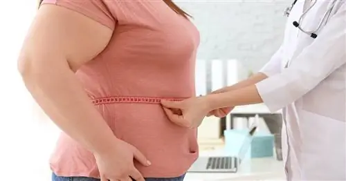 Лечение ожирения желудочным баллоном – что это? Цена процедуры