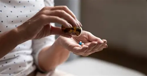 Болеутоляющее