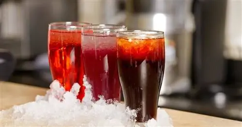 Подслащенные напитки составляют 184,5 тыс. грн. смертей в год