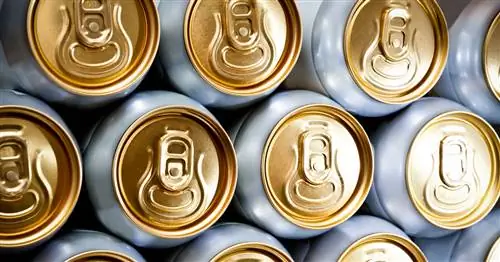 Почему мы напиваемся? Ученые ищут ответы в нашем мозгу