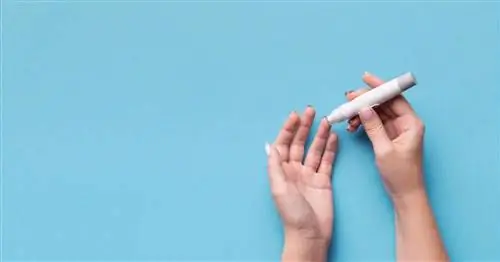 Короткая прогулка снижает риск развития диабета