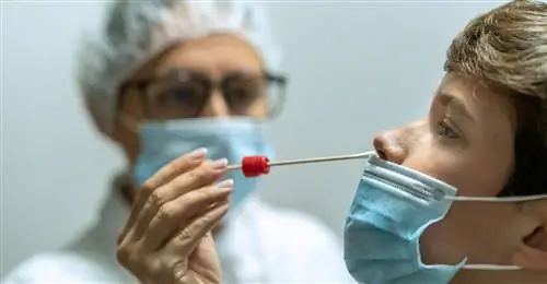 Симптомы Омикрона