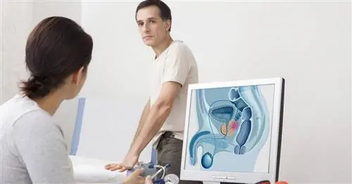 Врачи предупреждают: больных раком простаты будет становиться все больше. «Каждый мужчина старше 40 лет должен обратиться к урологу»