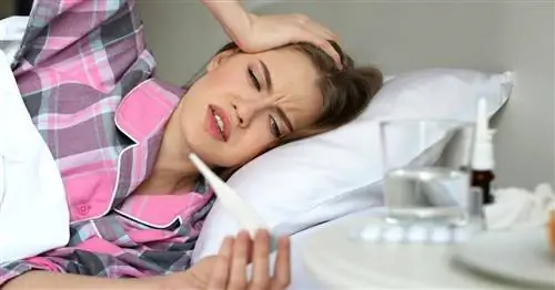 Тропические вирусы. Вирус Эбола, вирус Ласса и другие